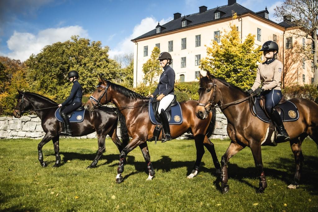 Jensen Gymnasium Wenngarns skolbyggnad med hästar framför