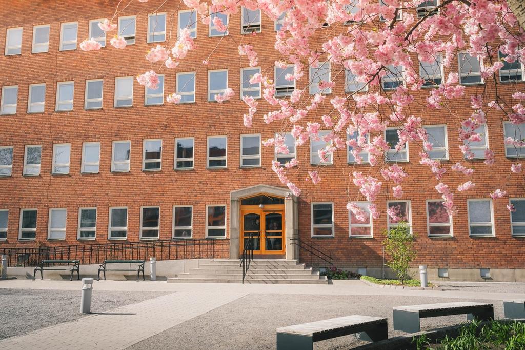 Bild på Viktor Rydberg Gymnasium Sundbyberg