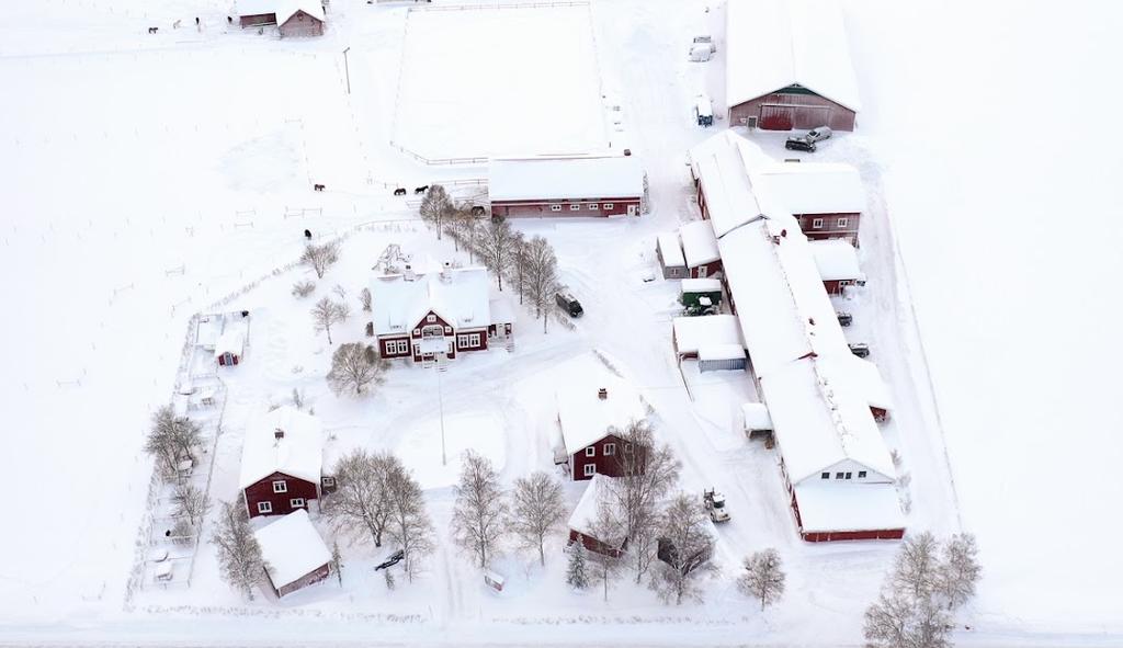 Dille Gård Naturbruksgymnasium i Ås