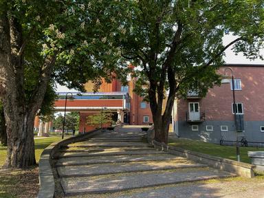 Rinmangymnasiet