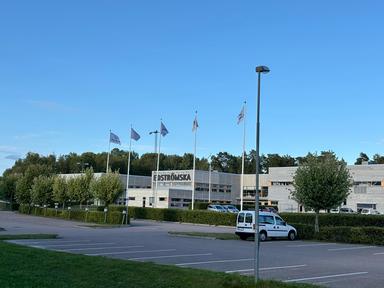 Edströmska gymnasiet