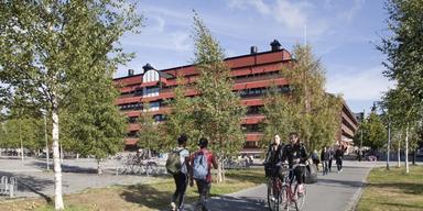 Luleå Gymnasium Hackspetten