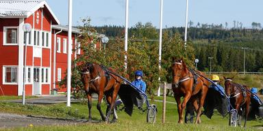 Jämtlands Gymnasium Wången