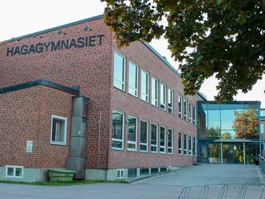 Alice Lundsgymnasiet