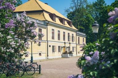 Bladins Gymnasium
