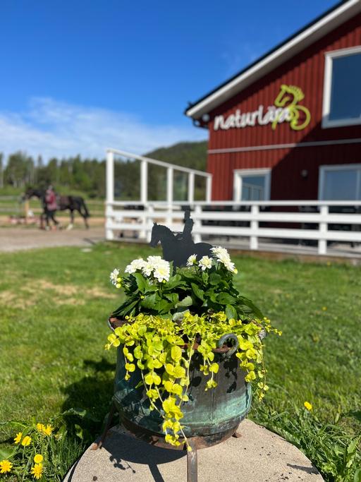 Bild på Naturlära Ridgymnasium