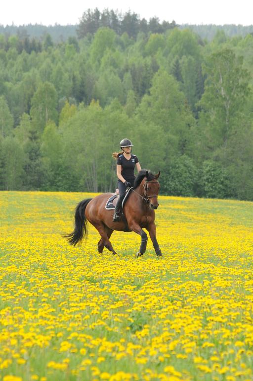 Bild på Naturlära Ridgymnasium