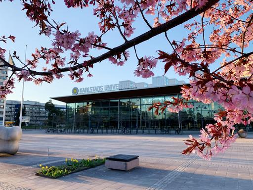 Bibliotekshuset Karlstads universitet