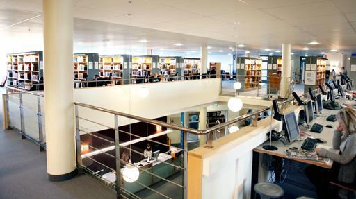 Bibliotek