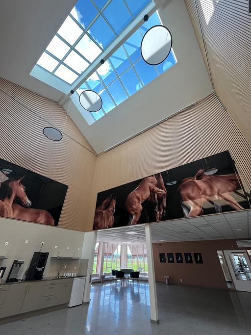 Bild på Axevalla Hästcentrum