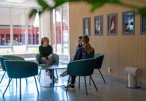 Bild på Axevalla Hästcentrum