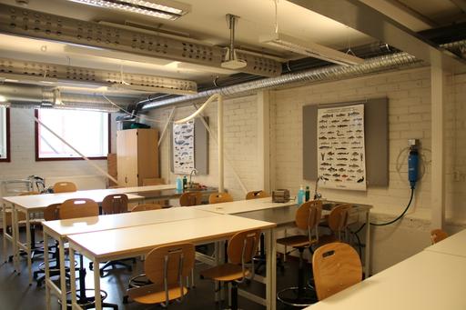 Bild på 68fd0431-4816-42f9-906a-bf808f6f08c7