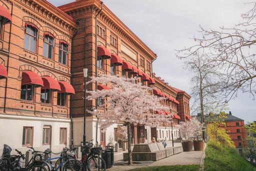 Bild på VRG Campus Viktor Rydberg