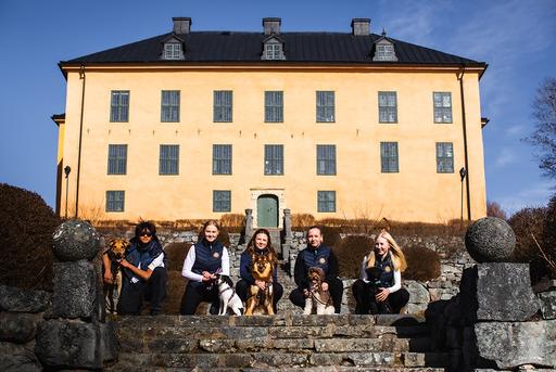 Bild på JENSEN gymnasium Wenngarn