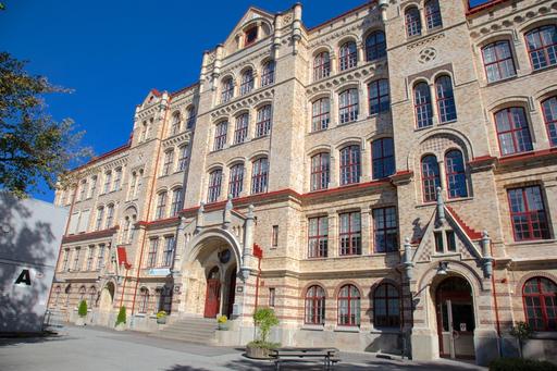The International High School