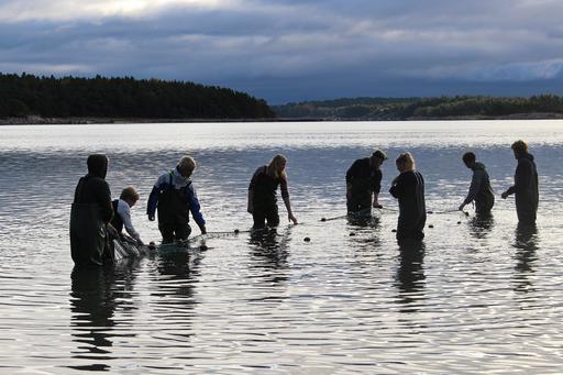 Bild på Öckerö Seglande Gymnasieskola