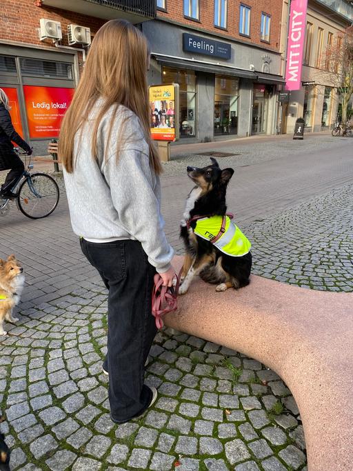 Bild på IMG_6838.jpeg