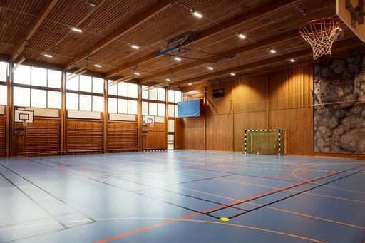 Bild på Tyreso╠ê gymnasium Idrottshall.png