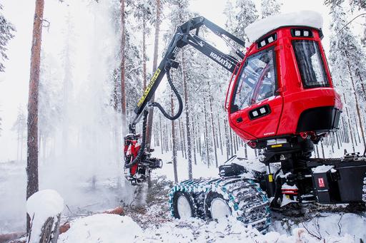 Bild på skog1.jpg