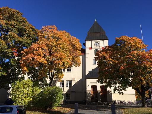 Bild på Eksjö Gymnasium_höst_2_KN.JPG