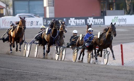 Hästhållning, Trav på Berga naturbruksgymnasium.