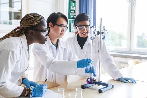 Internationella Engelska Gymnasiet naturvetenskapsprogrammet
