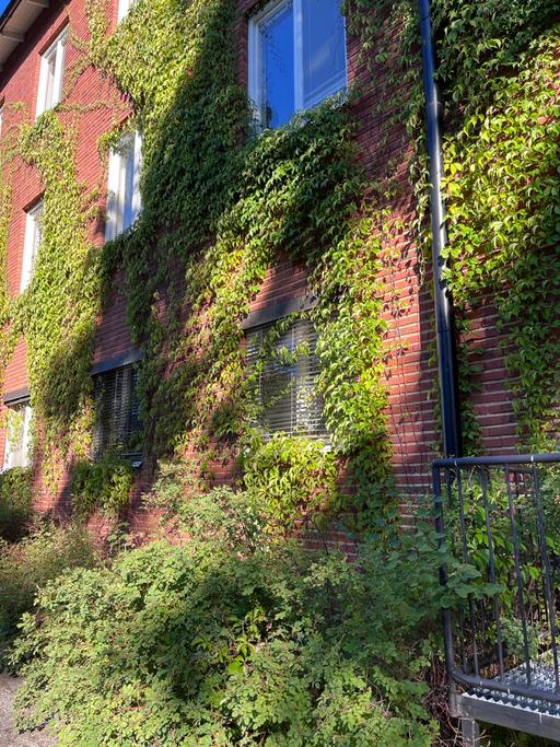 Amerikanska Gymnasiet Campus Frescati Hage i Stockholm