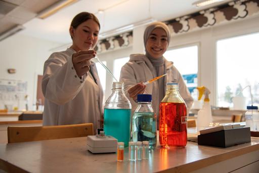 Bild på Brinellskolan