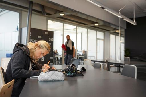 Goda förutsättningar till att studera på Young Business Creatives, YBC