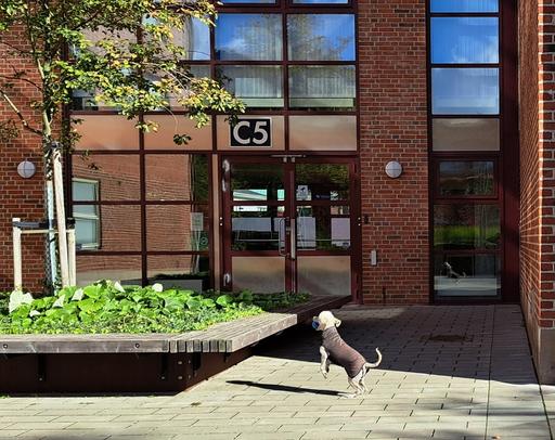 Malmö Borgarskola i Malmö