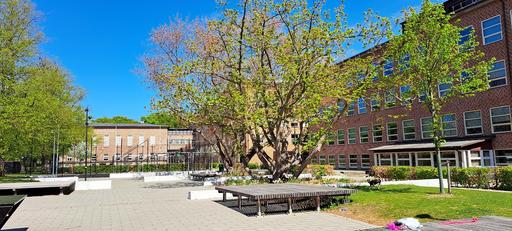Malmö Borgarskola i Malmö
