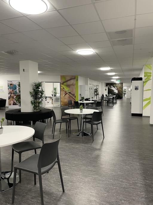 Realgymnasiet Borlänge i Borlänge