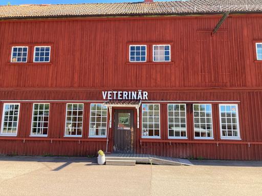 Bild på Lillerudsgymnasiet