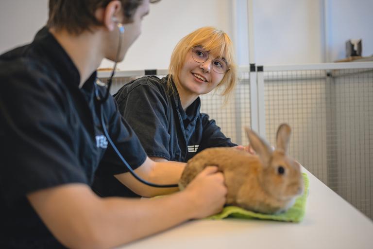 Bild på Realgymnasiet Sundbyberg