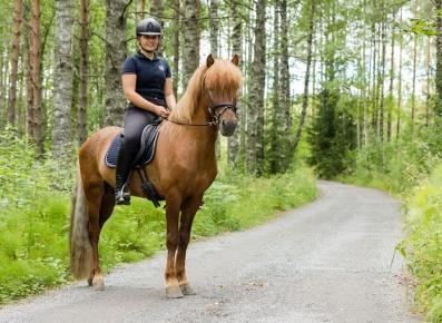 Bild på Realgymnasiet Sundbyberg