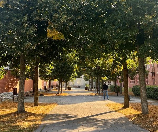 Tyresö gymnasium