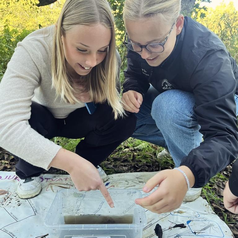 Bild på Realgymnasiet Helsingborg