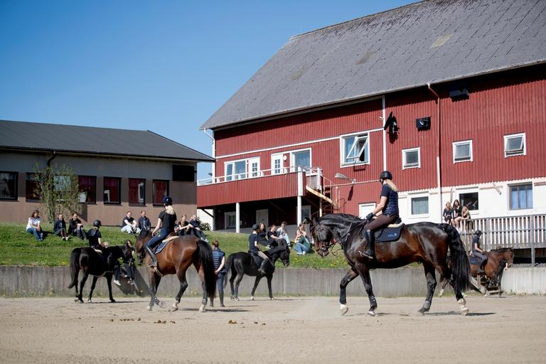Sveriges Ridgymnasium Kungsbacka