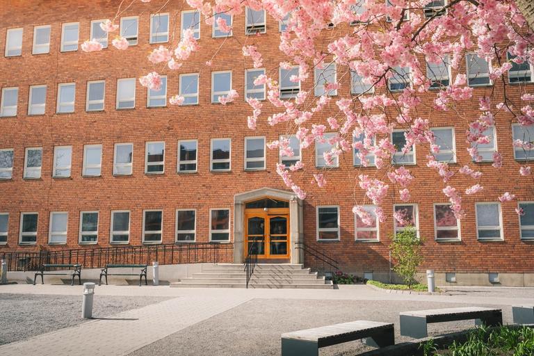 Viktor Rydberg Gymnasium Sundbyberg