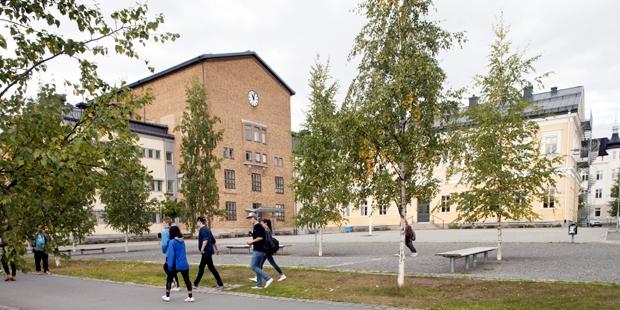 Luleå Gymnasium Lärkan