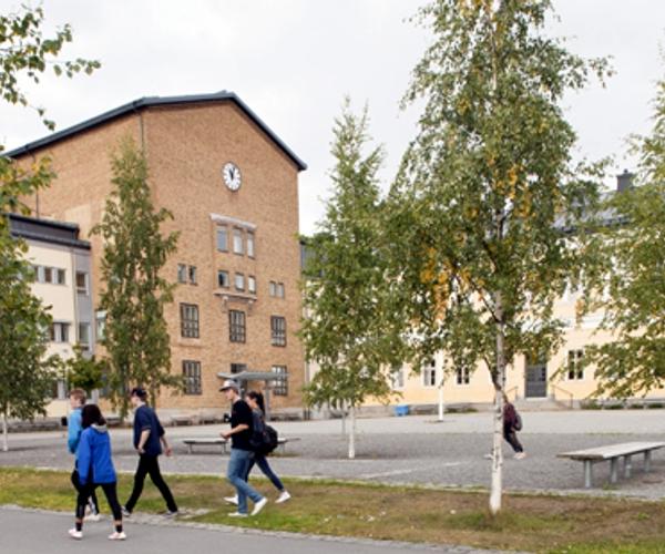 Luleå Gymnasium Lärkan