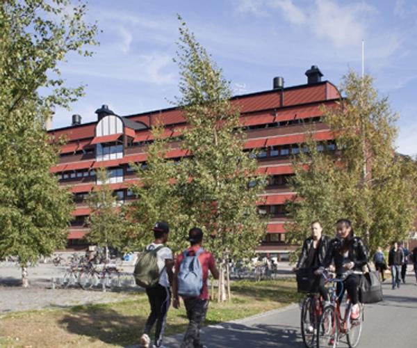 Luleå Gymnasium Hackspetten