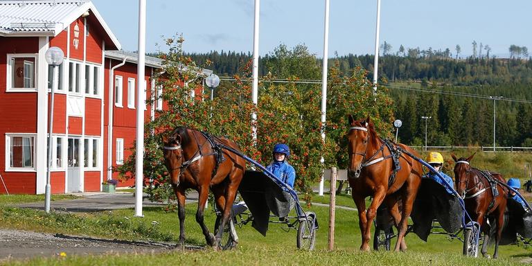Jämtlands Gymnasium Wången