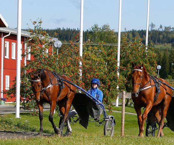 Jämtlands Gymnasium Wången