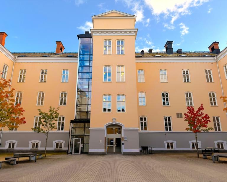 Linköpings Idrottsgymnasium