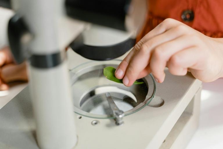 Naturvetenskaplig bastermin – Mot agronomprogrammet mark och växt