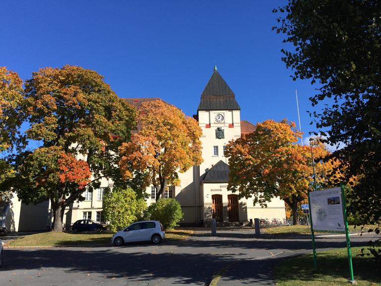 Eksjö gymnasium