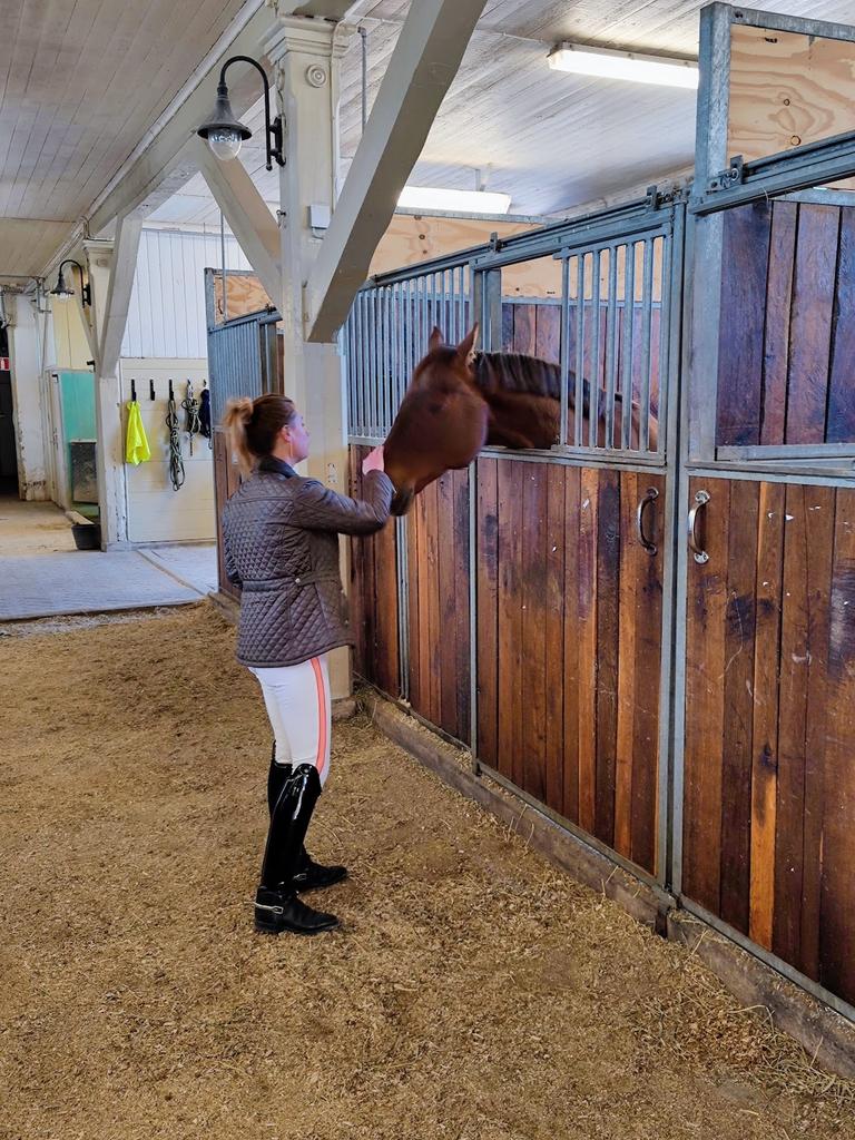 Ridsportgymnasiet i Strömsholm