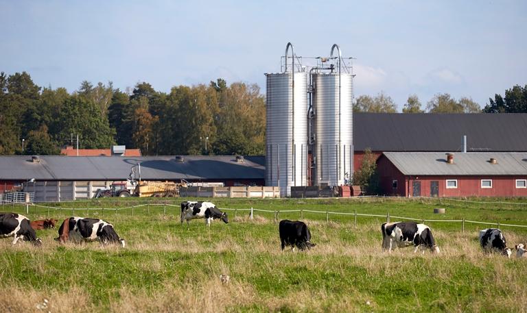Naturbruksskolan Uddetorp