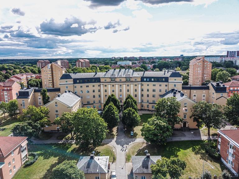 Öppet hus
